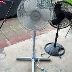 Fan