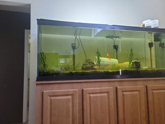 Aquarium