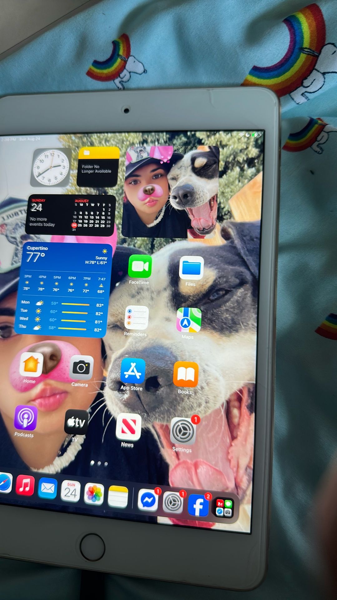 iPad Mini 4