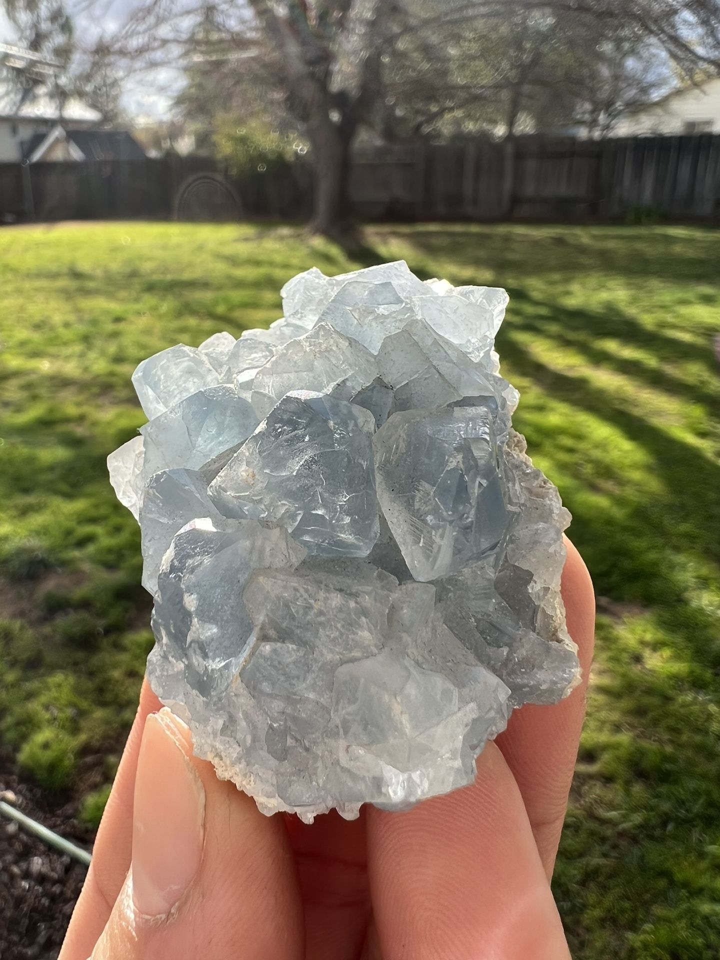 Celestite