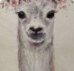 Large Canvas Lama Pic $18  20X30