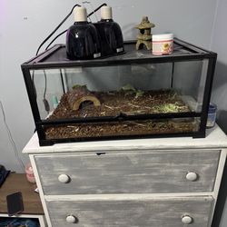 Large reptile tank