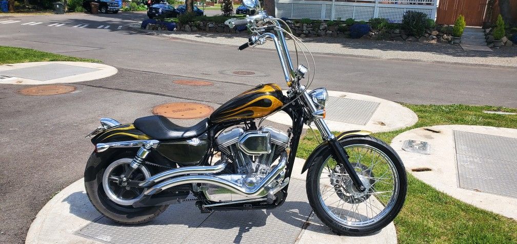 2004 Harley-Davidson Sportster Xl1200