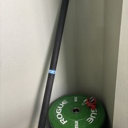 Rogue Plates And Bar