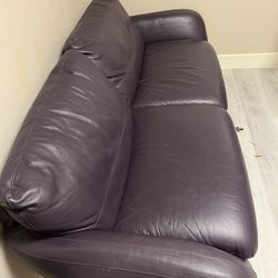 Sofa and Arm Chair