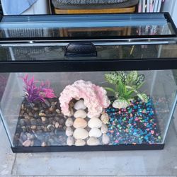 5 Gallon Fish Tank