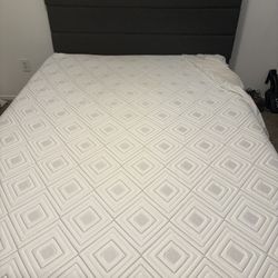 Bed Frame And Mattress 