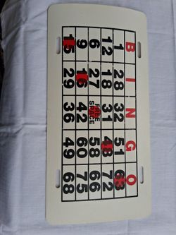 New Bingo license Plate