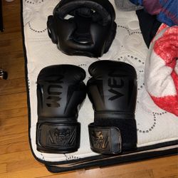 Venum Headgear And 14oz Gloves