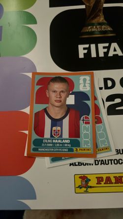 World Cup Orange Haaland sticker