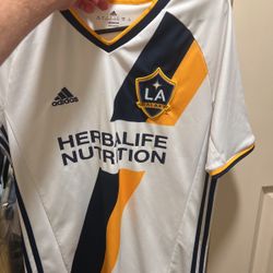 La Galaxy Jersey Large 