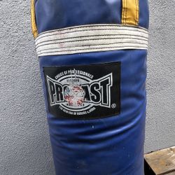 Prolast 80lbs Punching Bag with mount