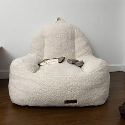 Bean Bag Chair (pickup only)