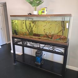 LARGE FISH TANK