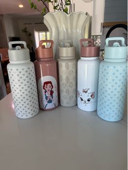 Simple Modern water bottles (Disney and others)