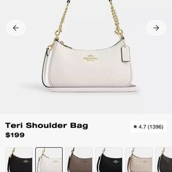 Teri coach bag signature canvas