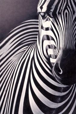 Large ART ZEBRA