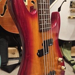 Five String Bass Guitar 