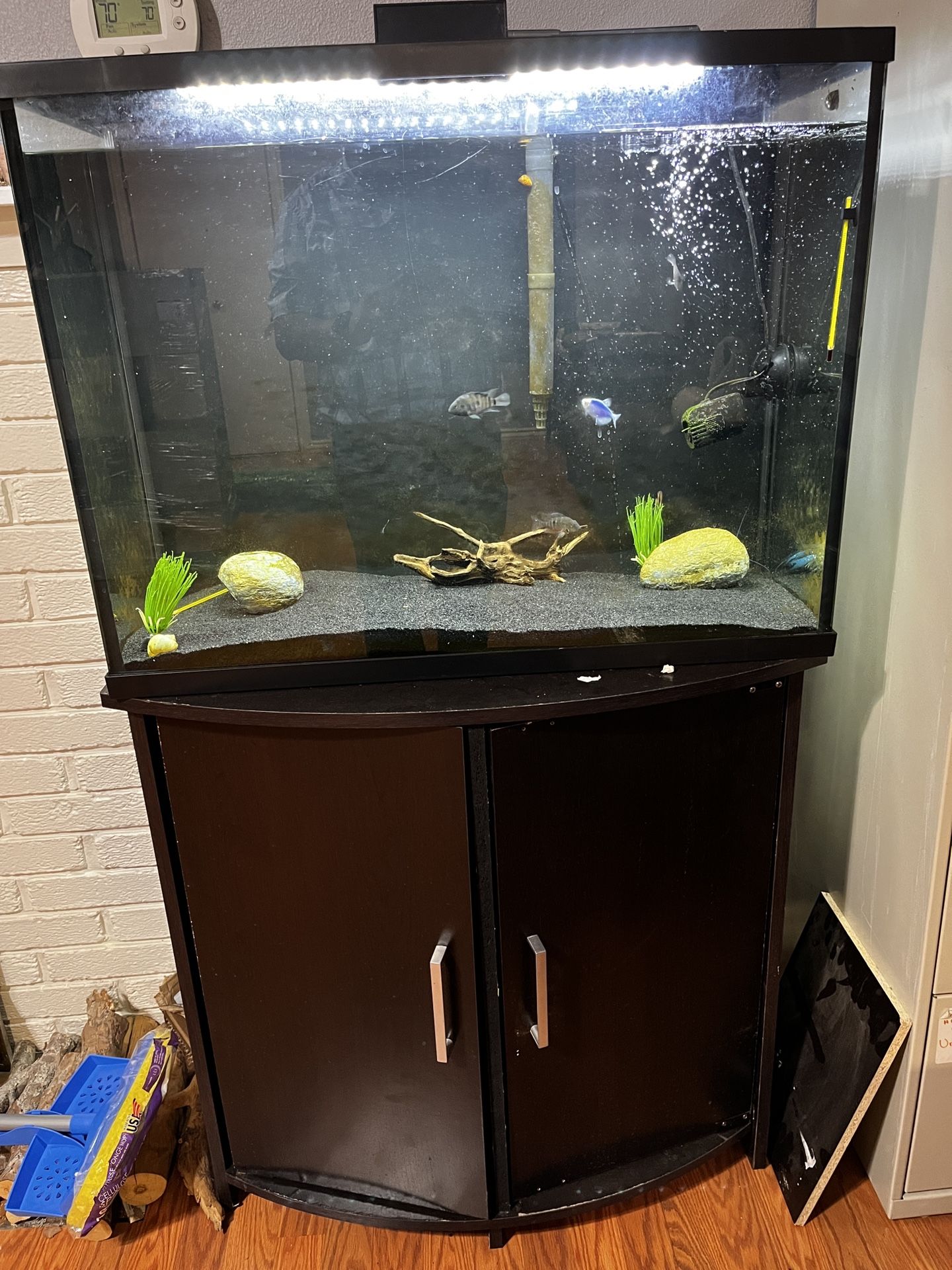 39 Gallon Fish Tank
