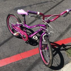 EElite Schwinn Bike 