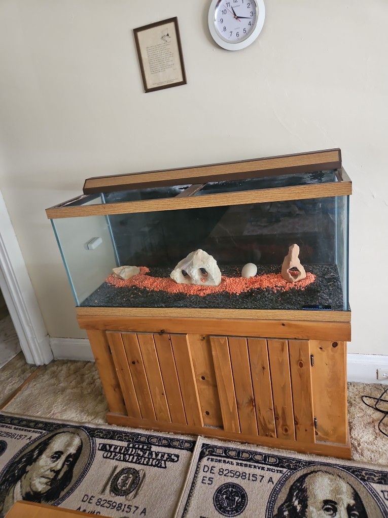 6o Gallon Fish Tank
