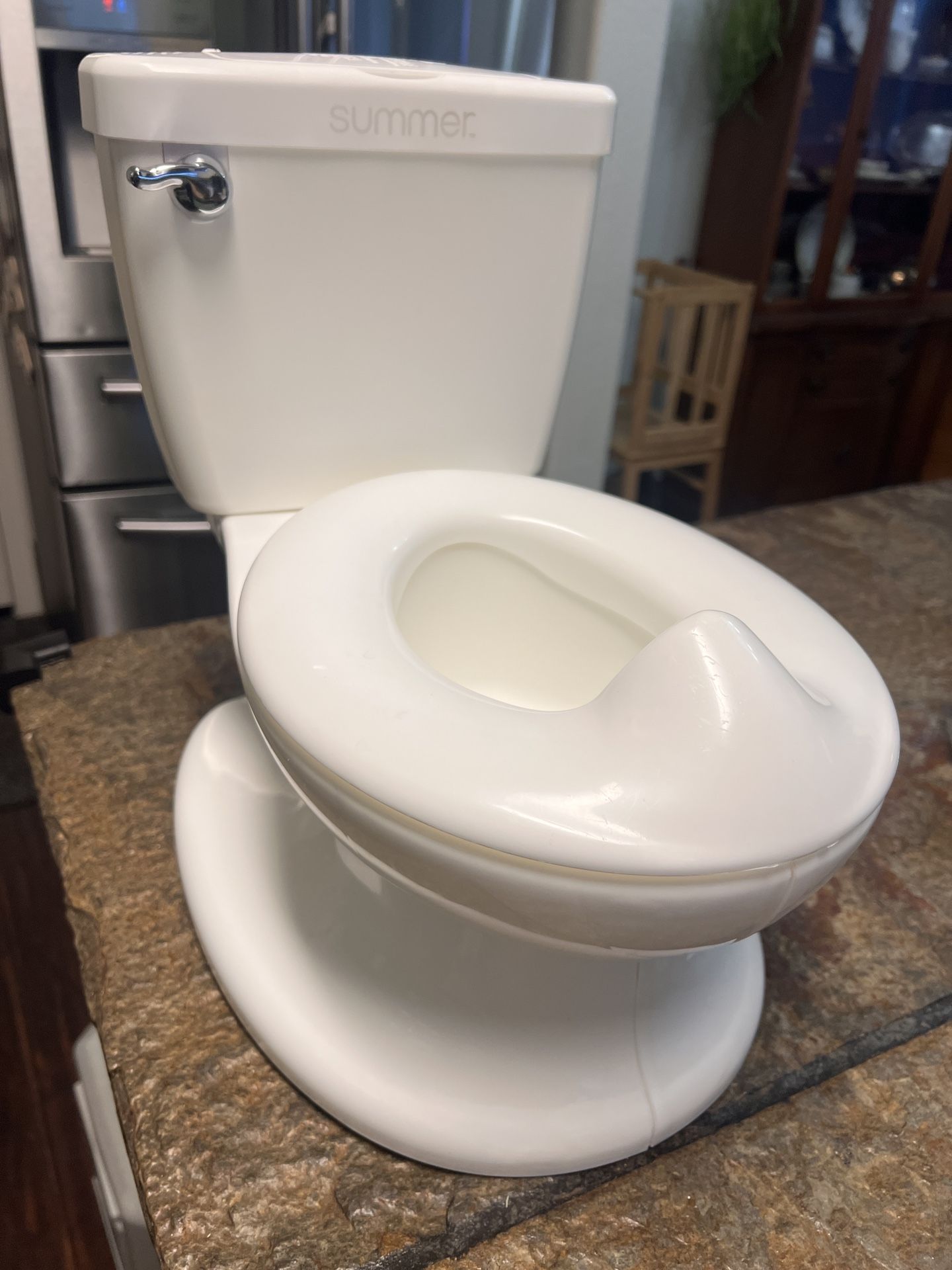 Potty Training Toilet Seat