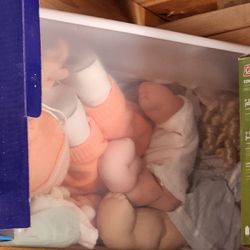 Tub of 6 Cabbage Patch Dolls + Accessories