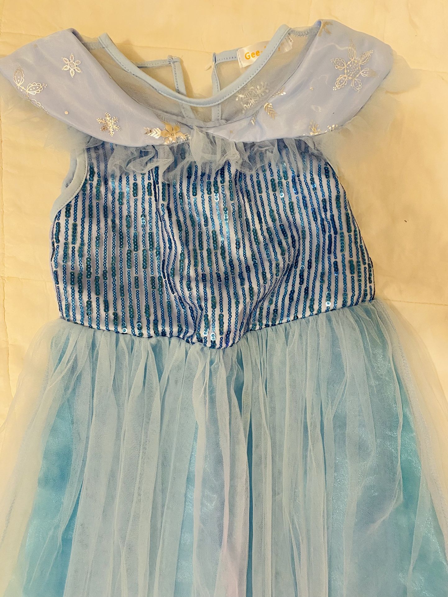Frozen/ Elsa Costume