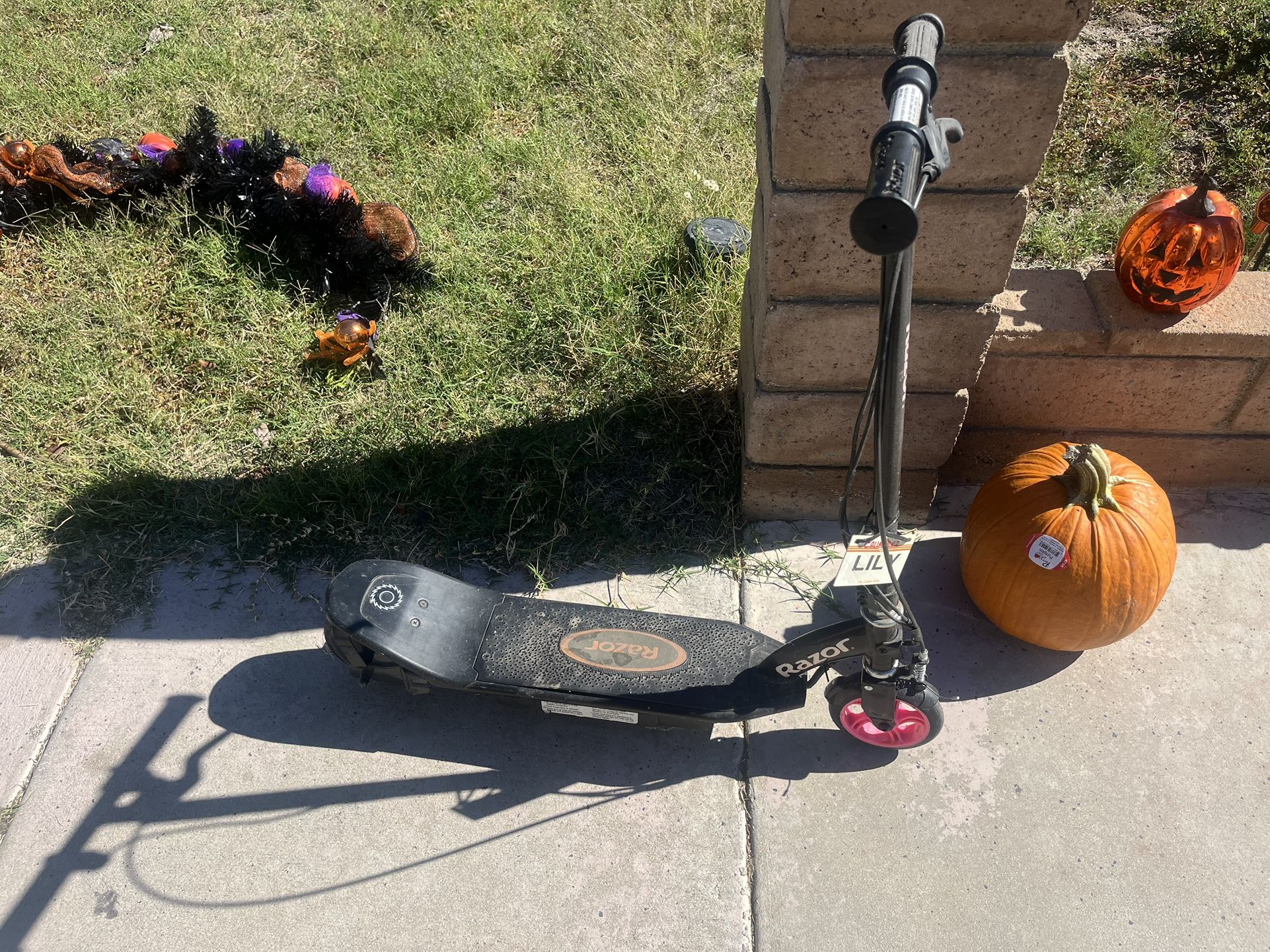 Razor Electric Scooter