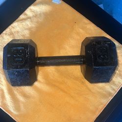 30lb Dumbbell 