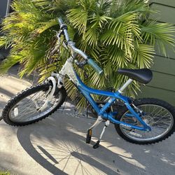 Giant MTX Kids Mountain Bike