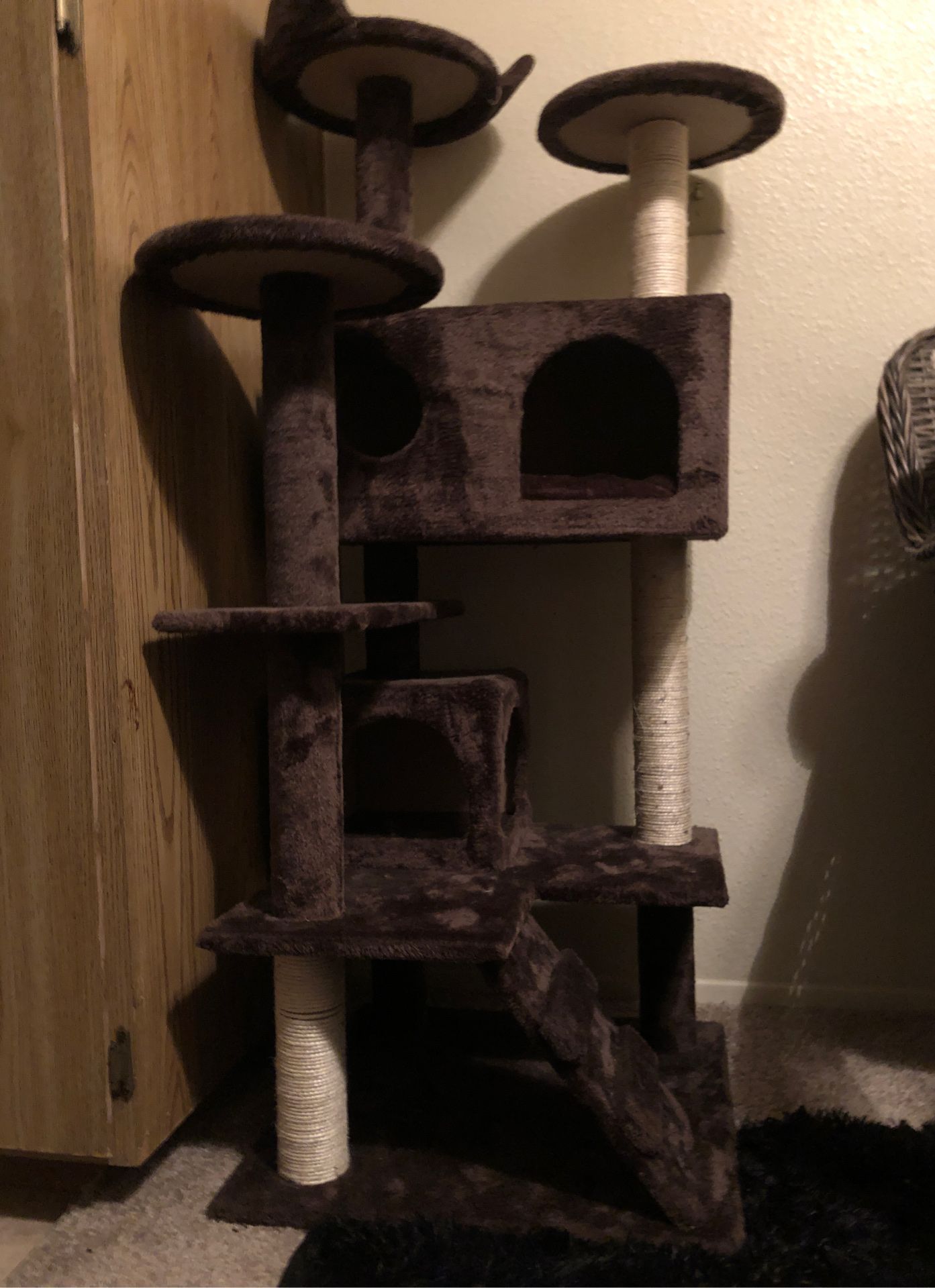 Wish cat tree. Purchased a month ago never used