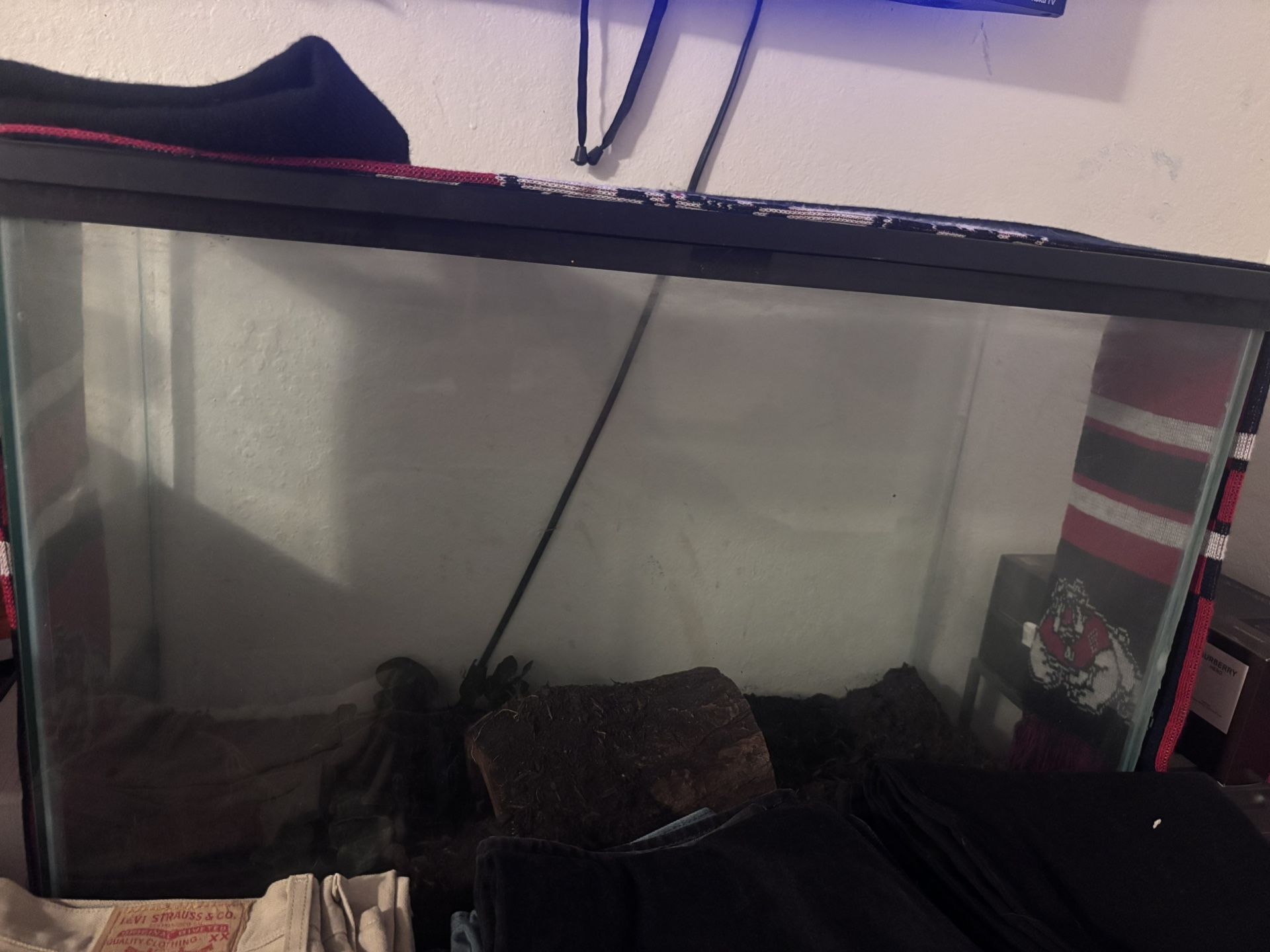 fish tank