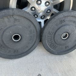 170# Bumper Weights