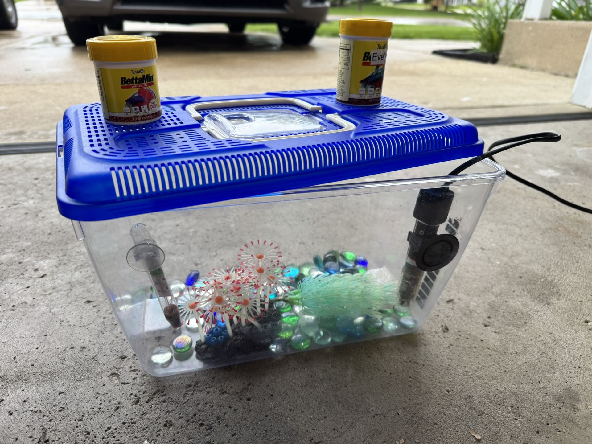 BETA-FISH-TANK