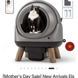 Automatic cat Box 