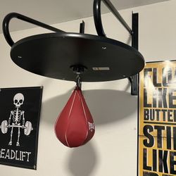Speed Bag With Wall Mount