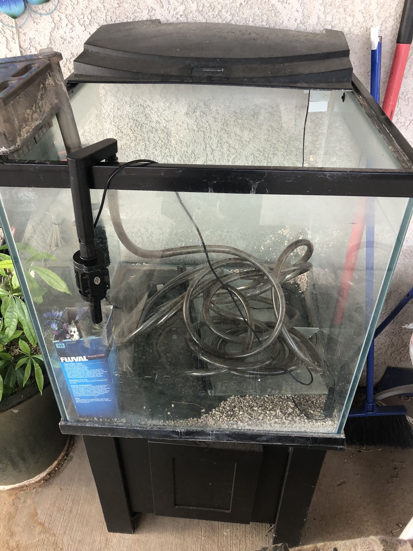 Fish Aquarium