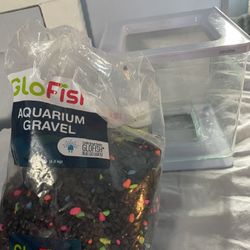 Beta Fish Tank And Gravel 