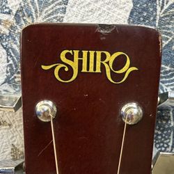 Rare 1985 Shiro WS12F Six String Acoustic Guitar W/Case - MIJ
