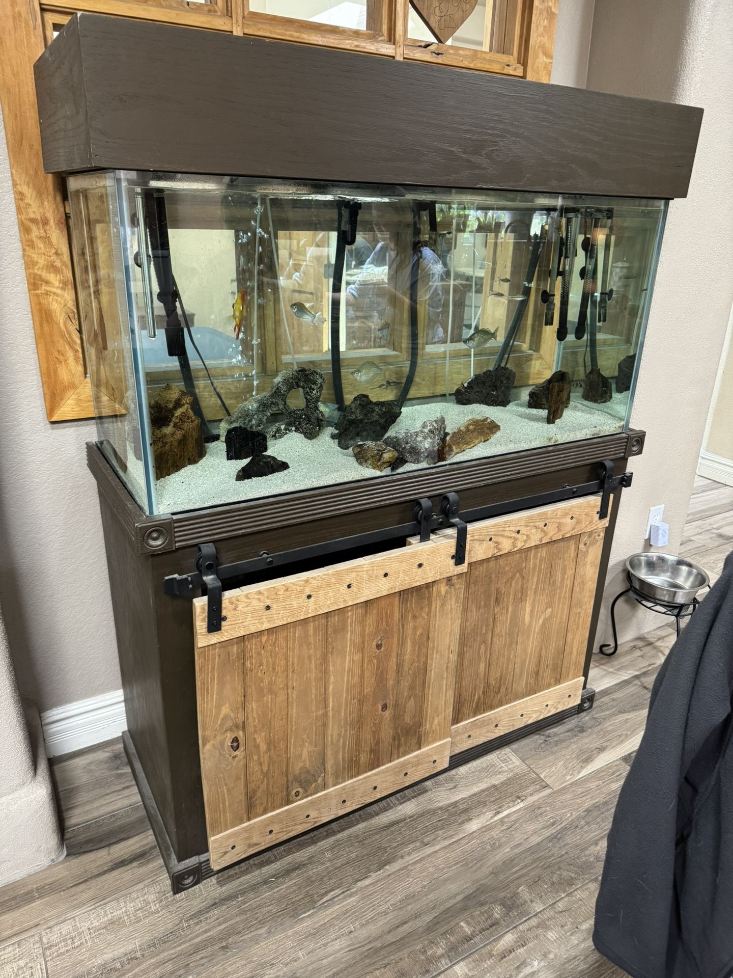 90 Gallon Freshwater Fish Tank