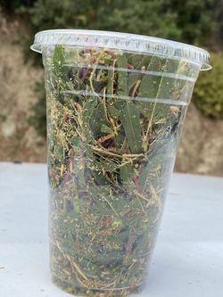 Organic Eucalyptus Air freshener compost