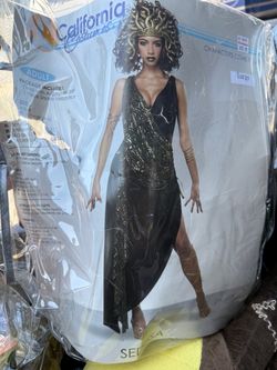 California Costumes Medusa Adult Costume Large