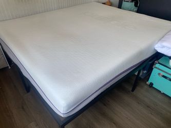 CA King Purple Mattress