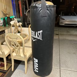 Heavy Kick Boxing Bag