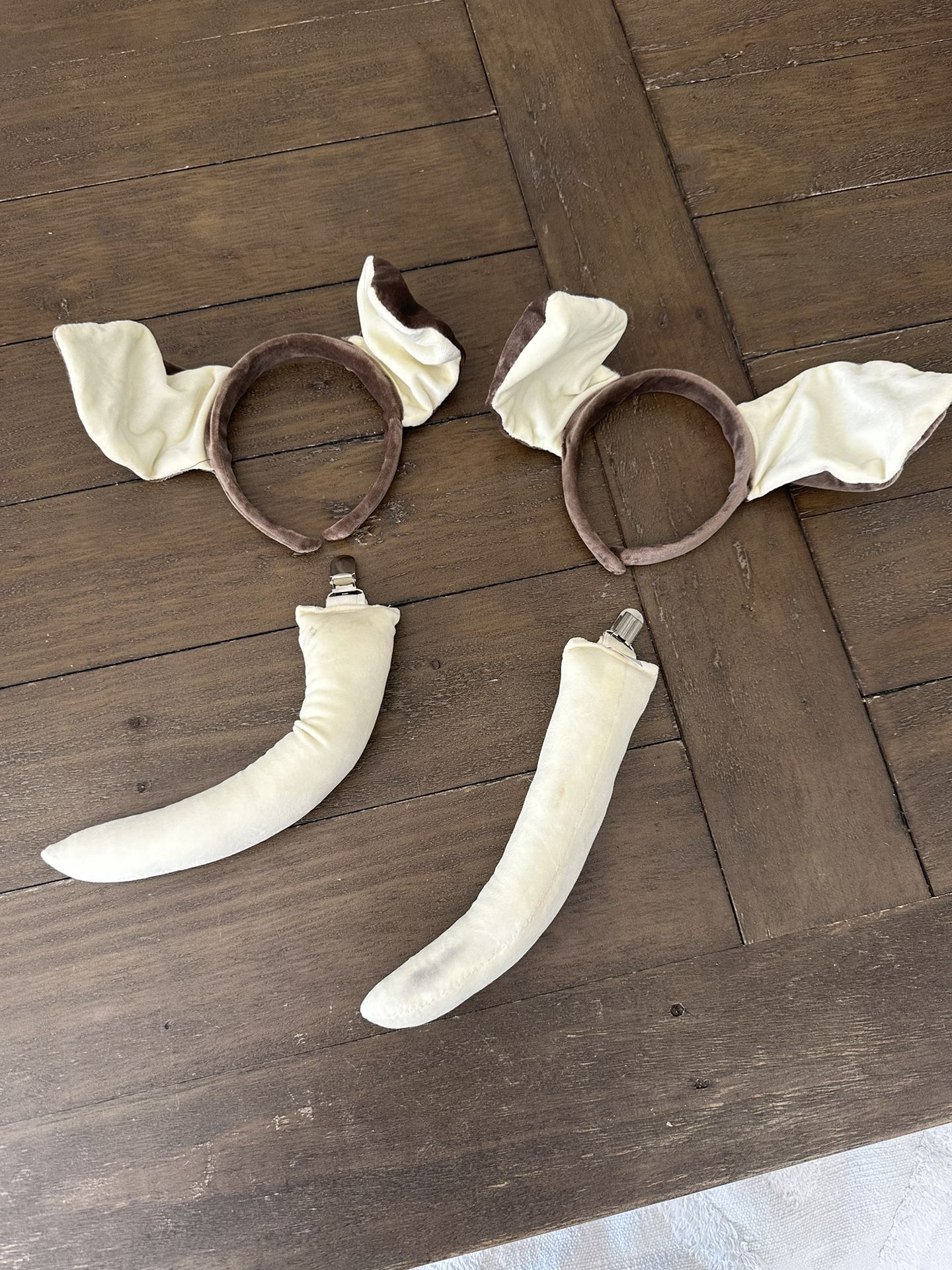 Dog Halloween Costume