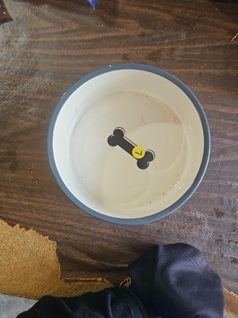 Big Dog Bowl