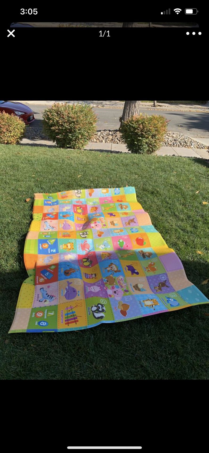 Free!! Two sided Baby mat. Side 1 ABC; side 2 animals
