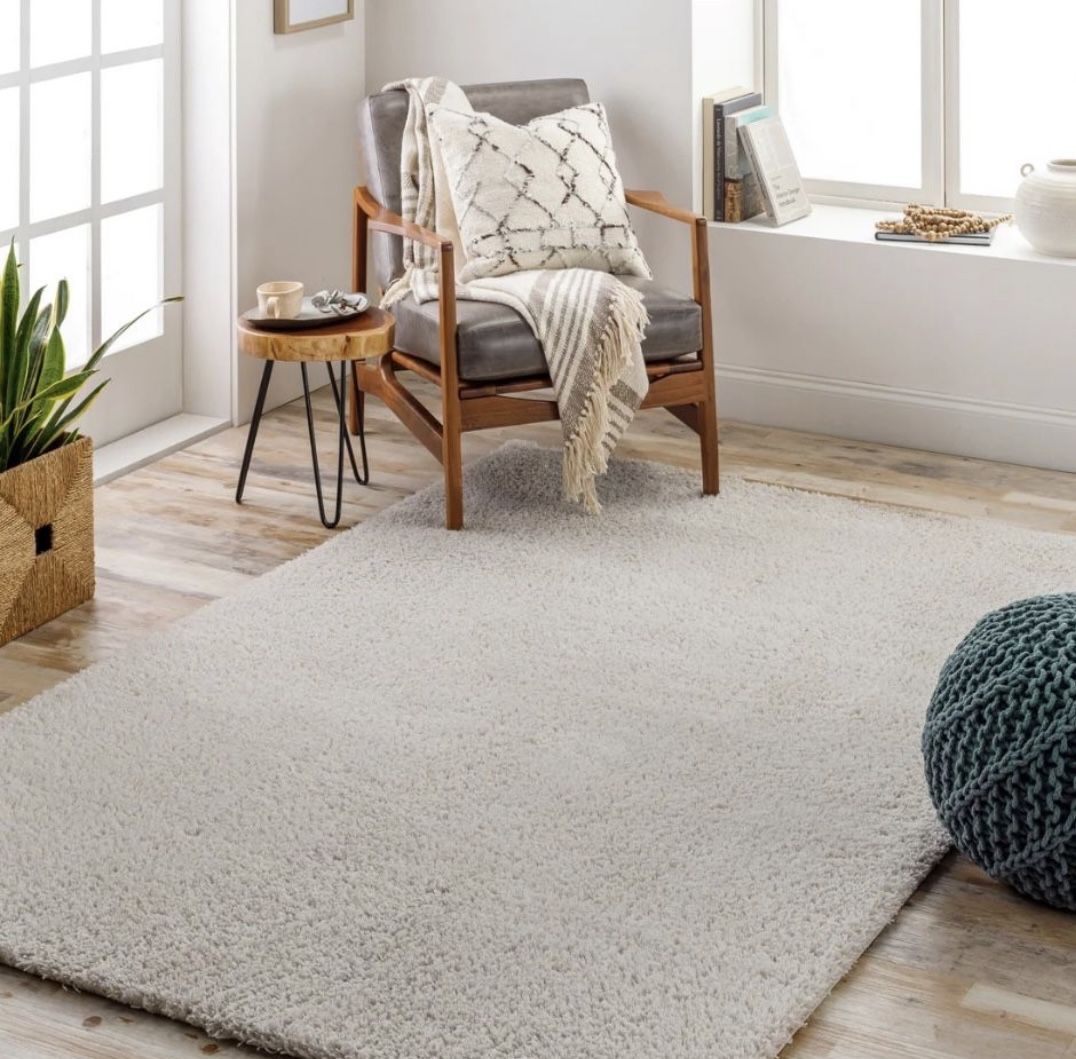 Light Gray Shag Rug 5’3” x 7’