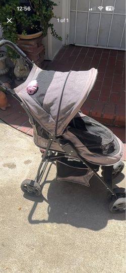 Pet Gear Dog Stroller